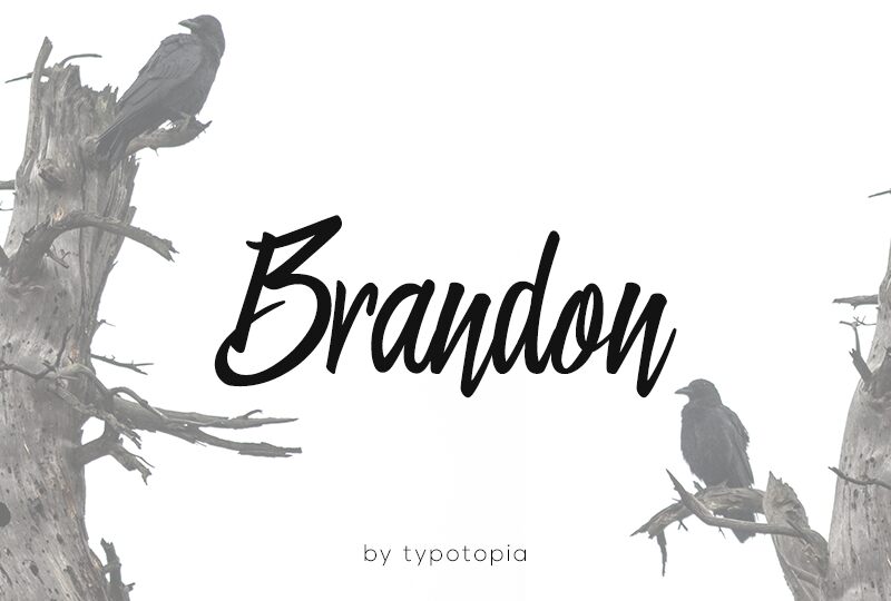 Brandon