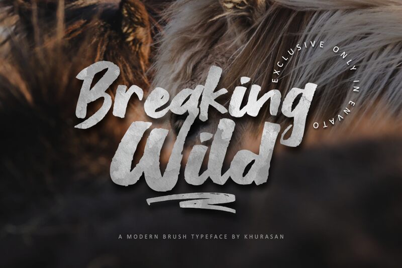 Breaking Wild