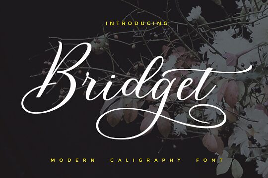 Bridget Script