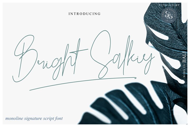 Bright Salkiy