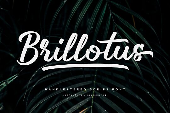 Brillotus