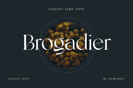 Brogadier