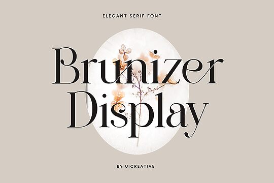 Brunizer Display