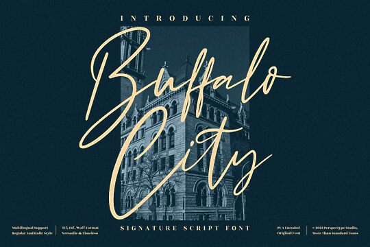 Buffalo City