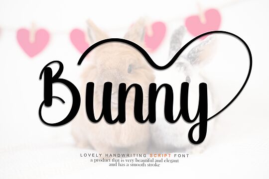 Bunny