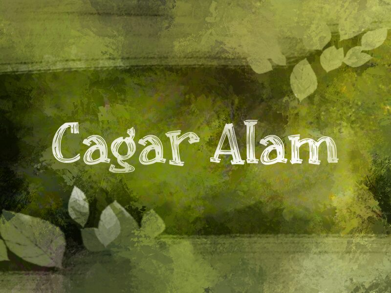 c Cagar Alam