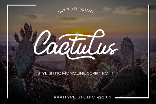 Cactulus