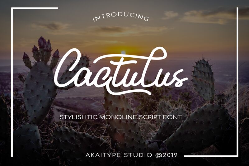 Cactulus