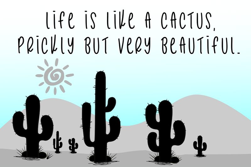 Cactus Story