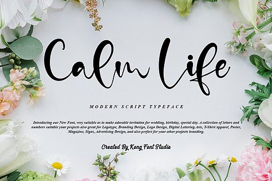 Calm Life