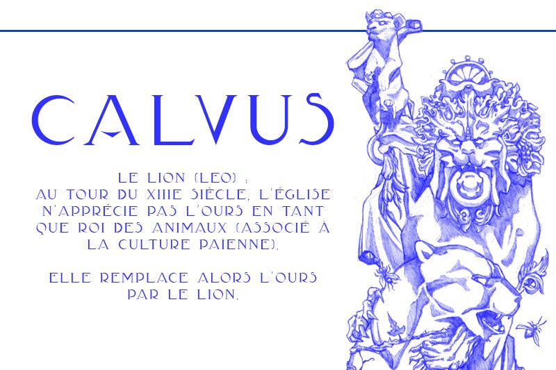 Calvus
