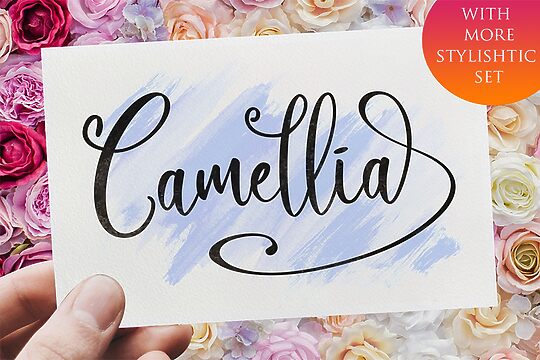 Camellia