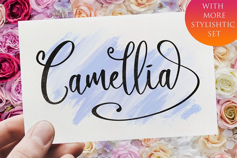 Camellia