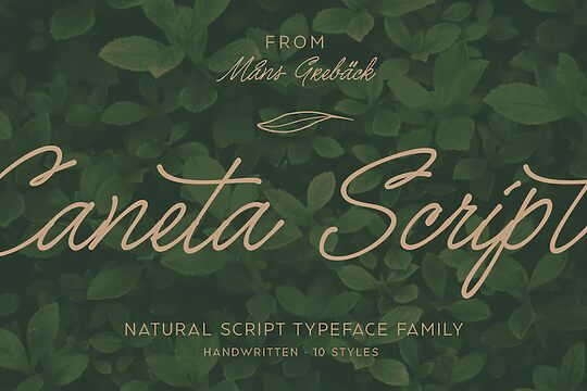 Caneta Script
