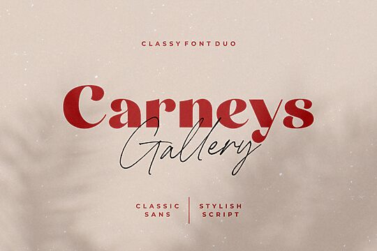 Carneys Gallery Script