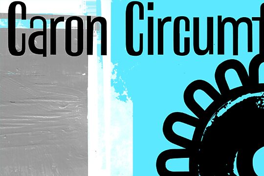 Caron Circumflex