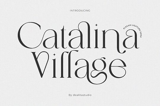 Catalina Village