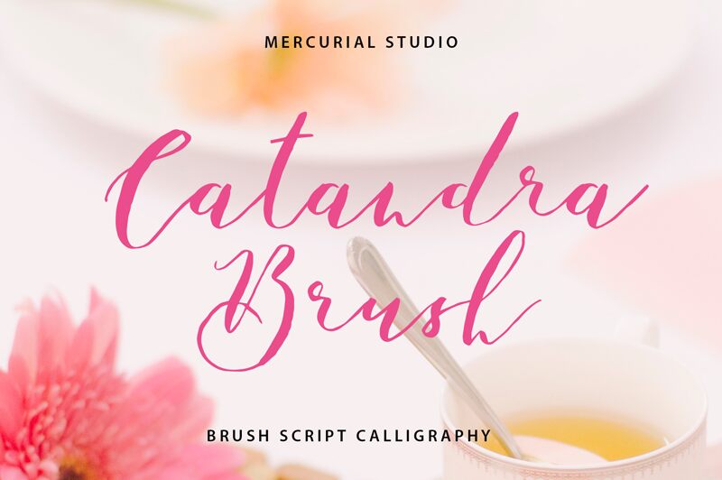 Catandra Brush