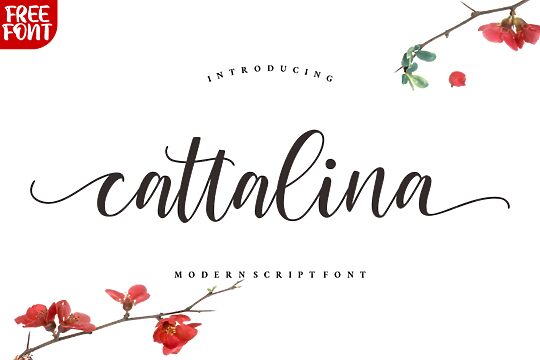Cattalina