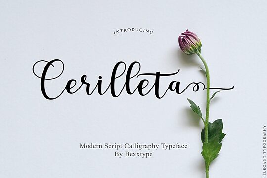 Cerilleta