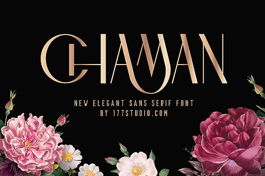 Chaman Elegant