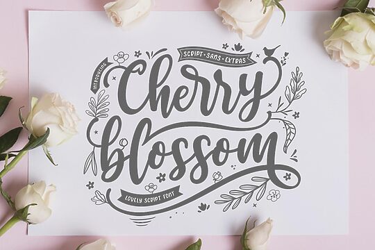 Cherry Blossom Script