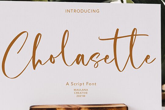 Cholasette