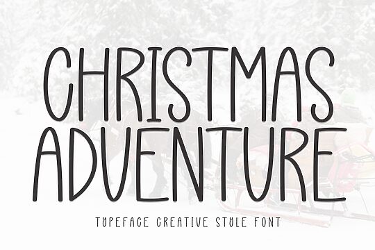 Christmas Adventure