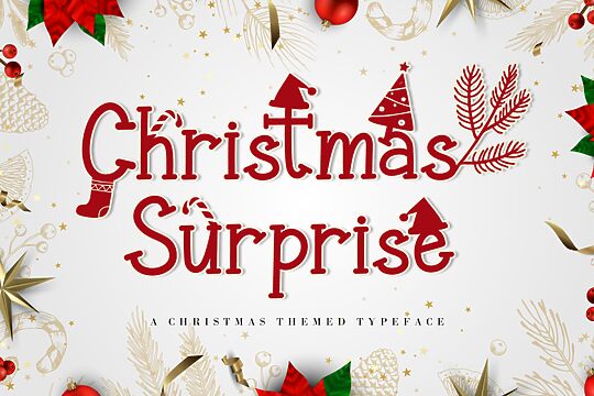 Christmas Surprise