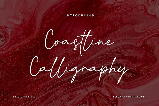 Coastline Calligraphy Script