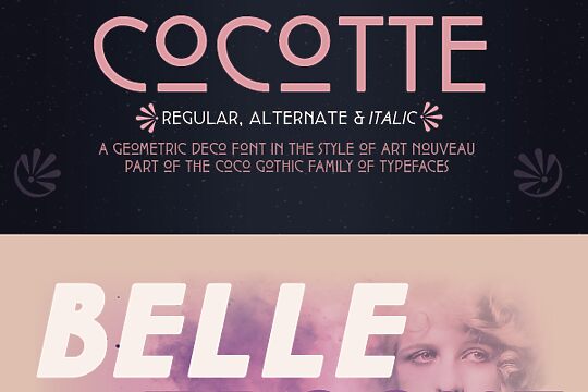 Cocotte