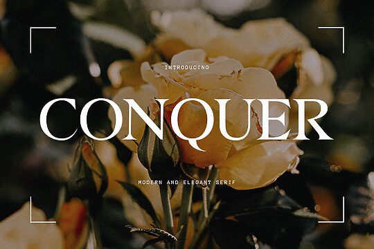 Conquer