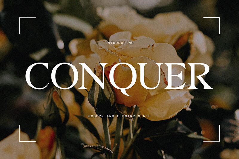 Conquer