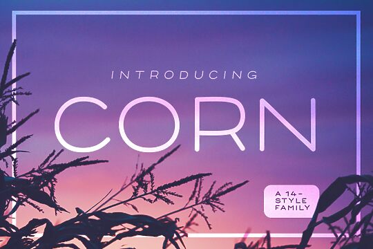 Corn