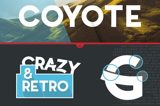 Coyote