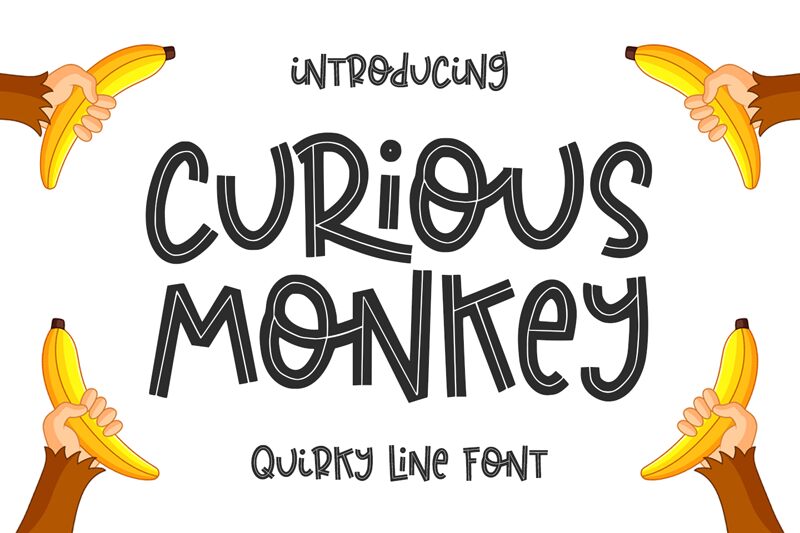 Curious Monkey