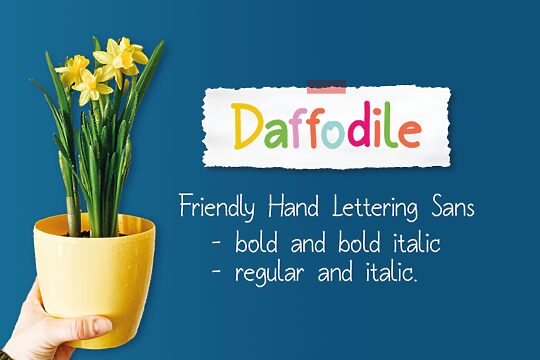 Daffodile