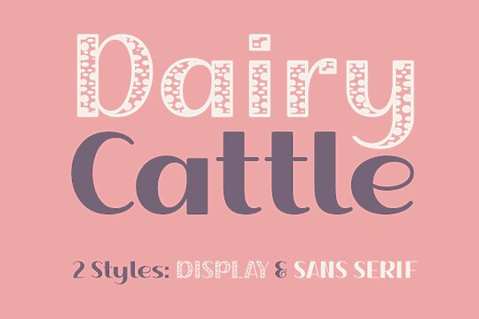 Dairy Cattle Solid