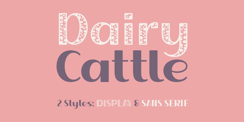 Dairy Cattle Solid