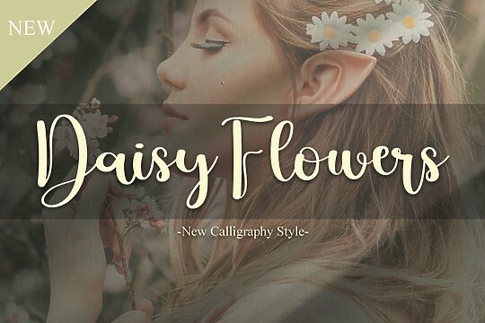 Daisy Flowers