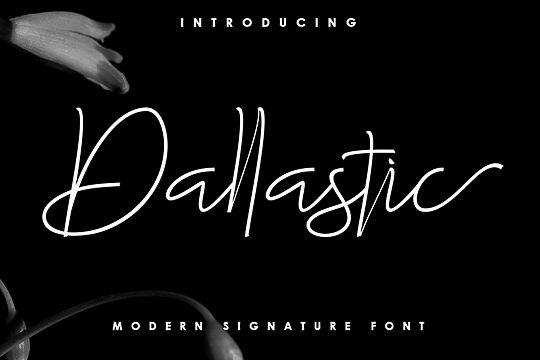 Dallastic
