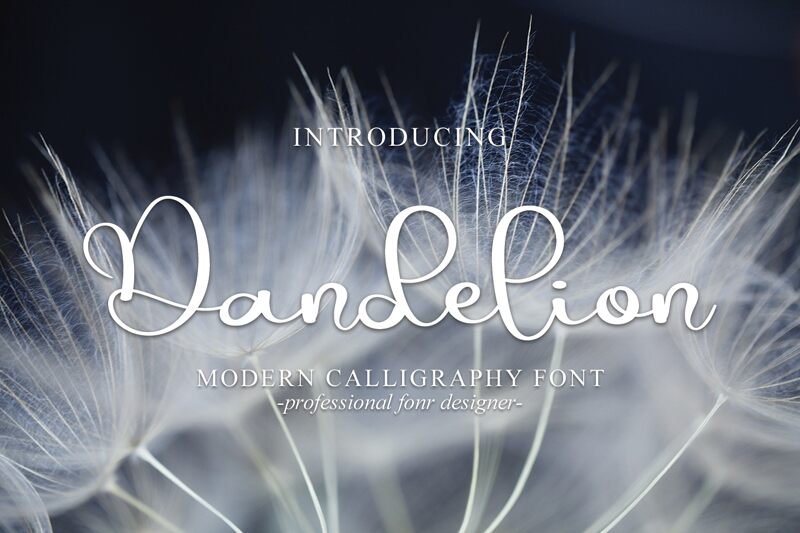 Dandelion