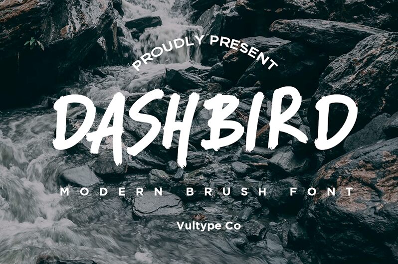 Dashbird