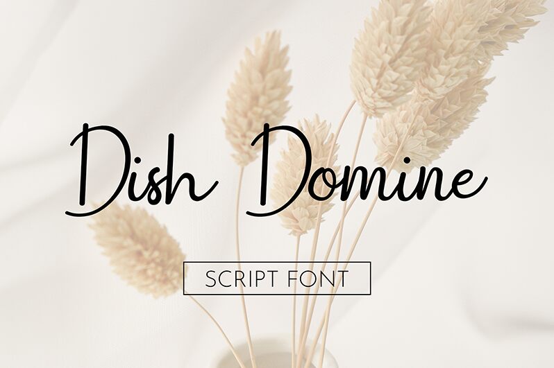 Dish Domine