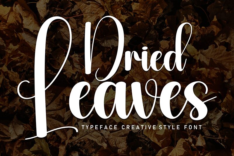 Dried Leaves