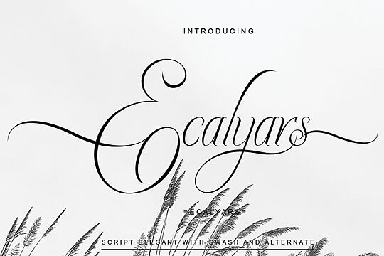 Ecalyars