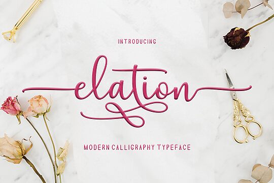 Elation Script