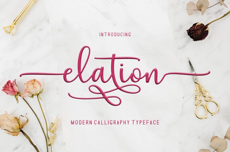 Elation Script