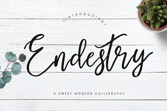 Endestry