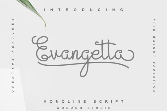 Evangetta